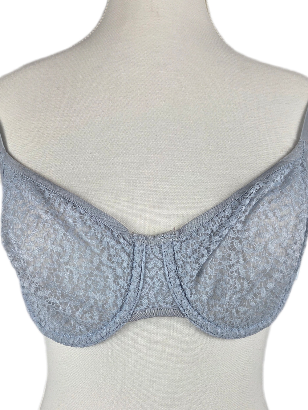 DKNY Modern Lace Sheer Demi Bra – Slate Blue